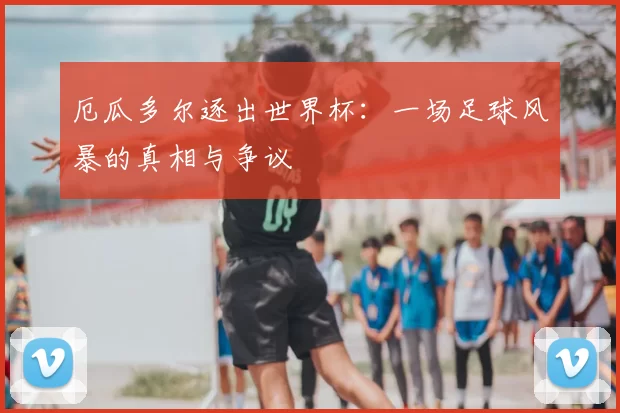 厄瓜多尔逐出世界杯:一场足球风暴的真相与争议