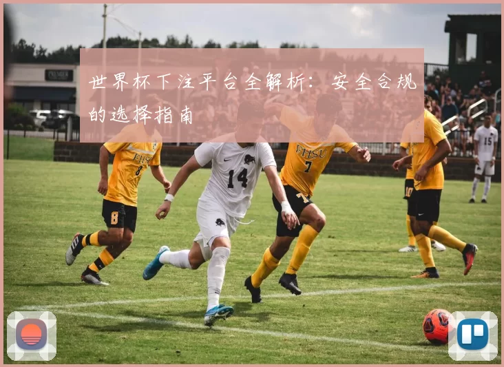 世界杯下注平台全解析:安全合规的选择指南