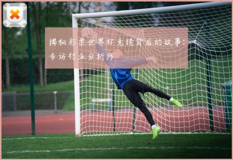 揭秘彩票世界杯竞猜背后的故事:专访行业分析师