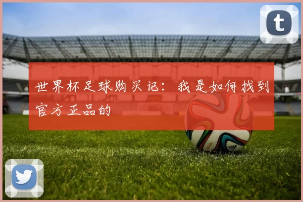世界杯足球购买记:我是如何找到官方正品的