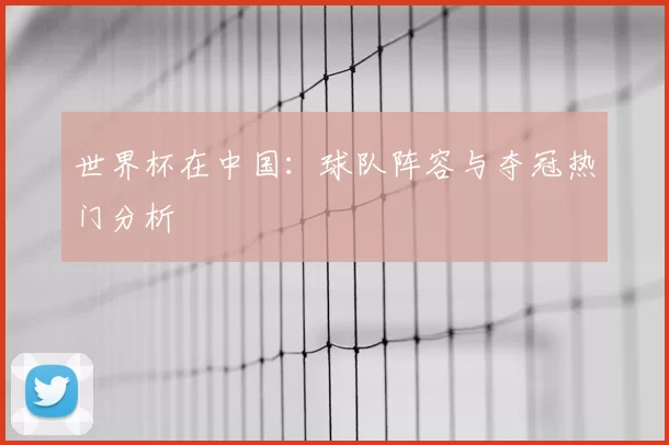 世界杯在中国:球队阵容与夺冠热门分析