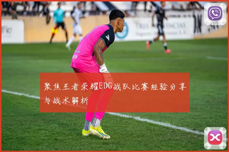 聚焦王者荣耀EDG战队比赛经验分享与战术解析