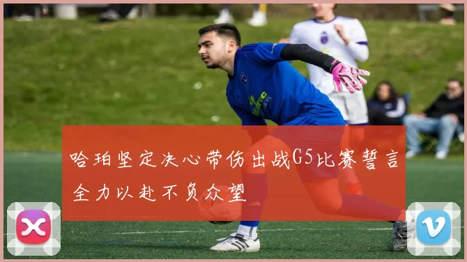 哈珀坚定决心带伤出战G5比赛誓言全力以赴不负众望
