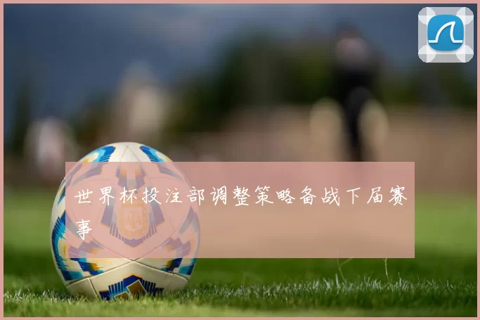 世界杯投注部调整策略备战下届赛事