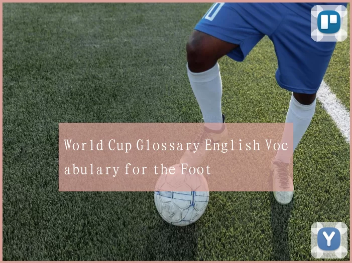 World Cup Glossary English Vocabulary for the Foot