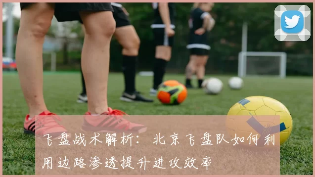 飞盘战术解析:北京飞盘队如何利用边路渗透提升进攻效率