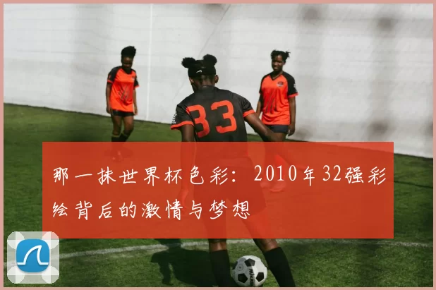 那一抹世界杯色彩：2010年32强彩绘背后的激情与梦想