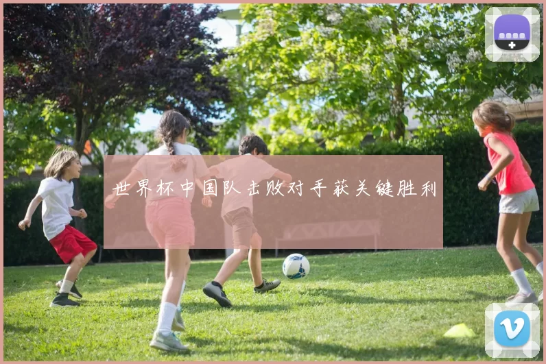 世界杯中国队击败对手获关键胜利
