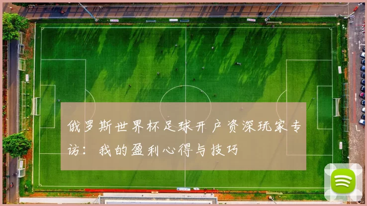 俄罗斯世界杯足球开户资深玩家专访:我的盈利心得与技巧